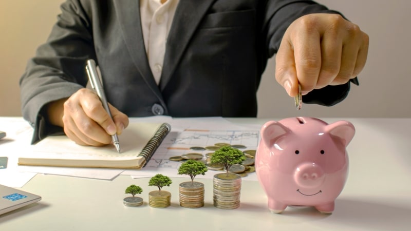 diversification strategies